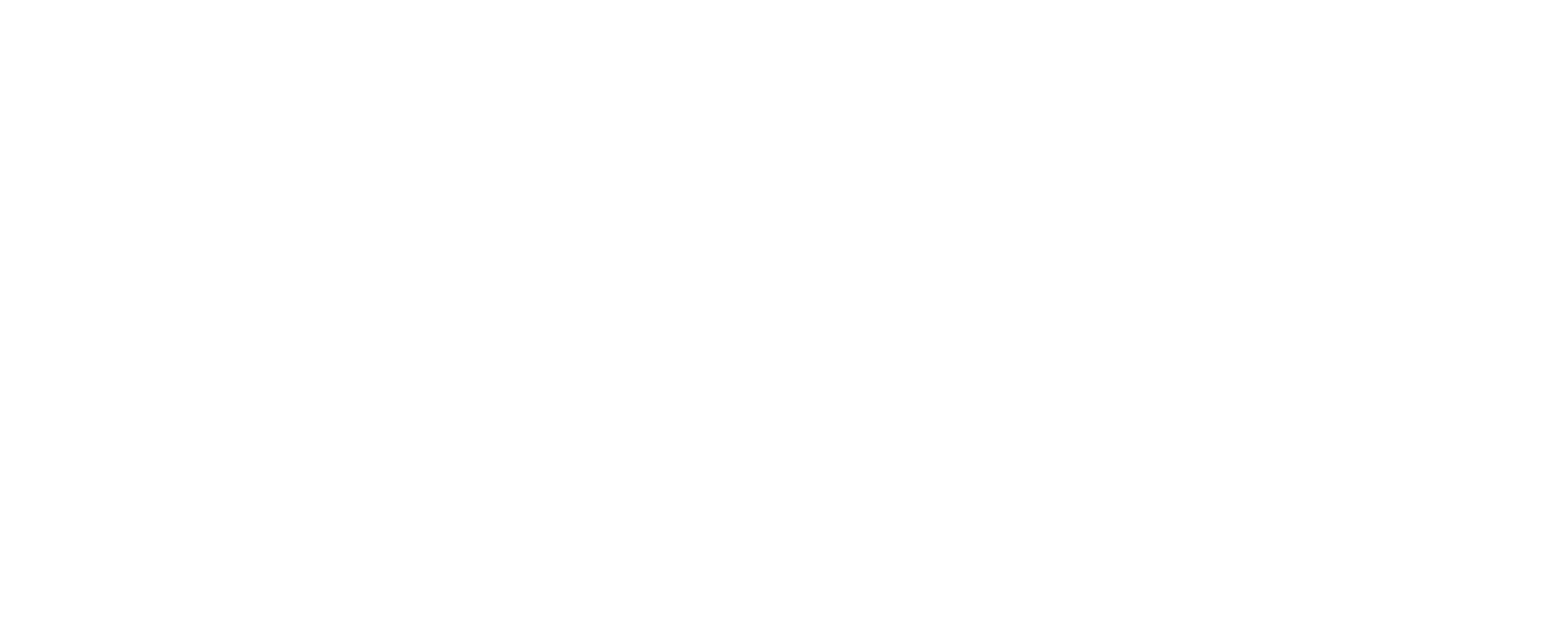 Verkostovoima